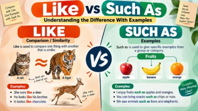 Like vs Such As Understanding the Difference With Examples